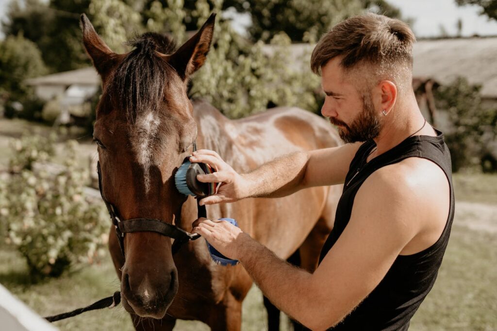 horse and owner