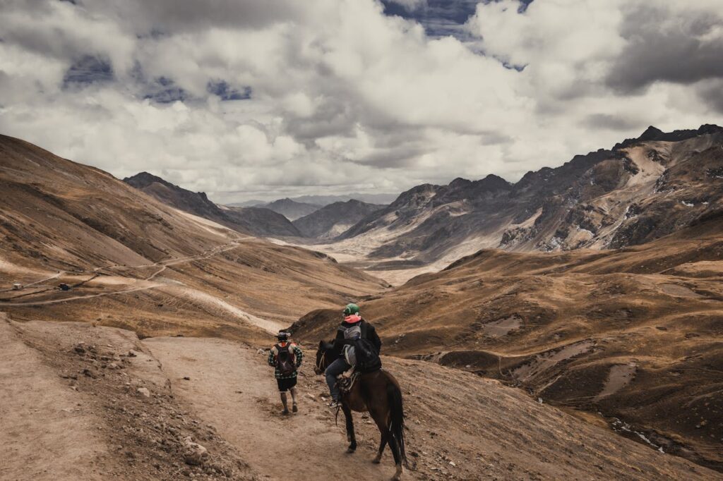 horse and owner