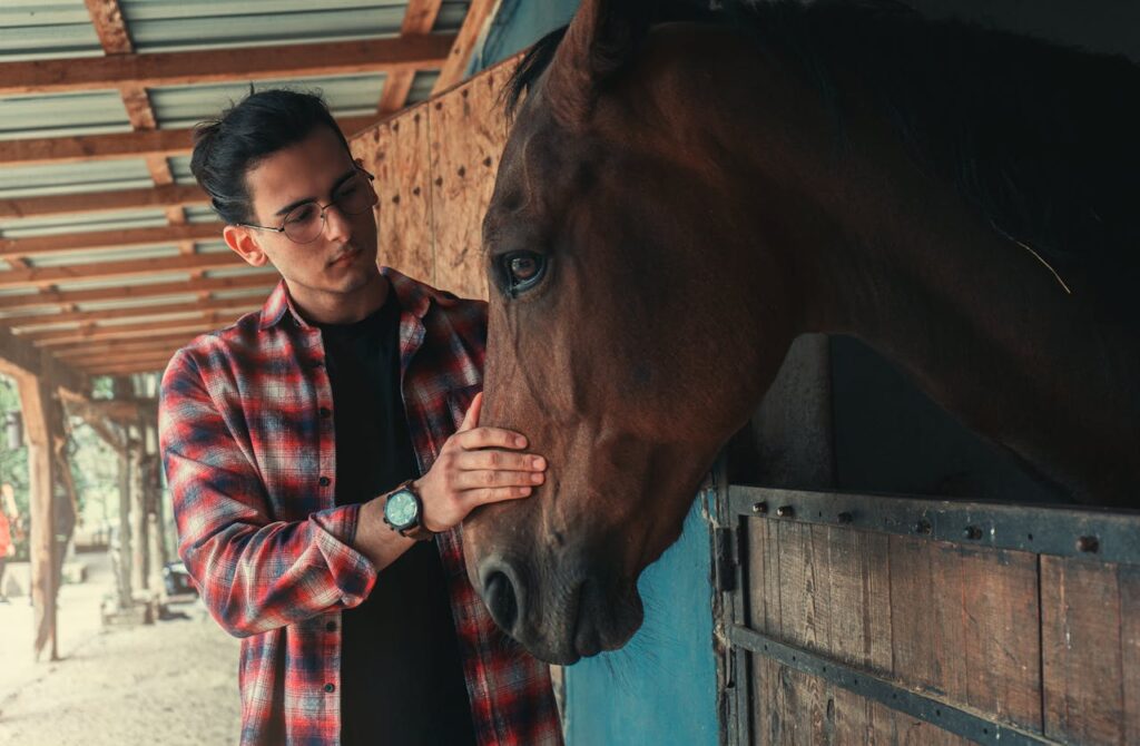 horse and owner