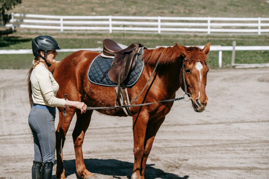 horse and owner