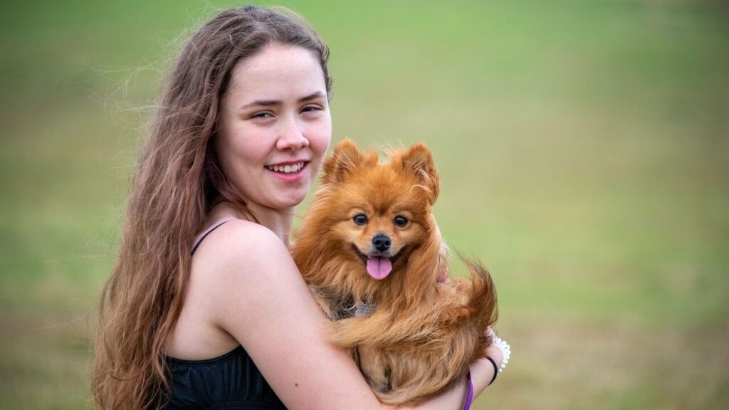 Pomeranian dog with a black dressed woman