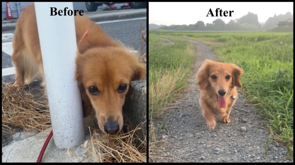 Metalle transformation