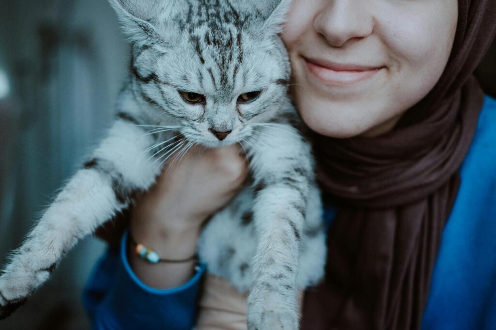 cat with owner
