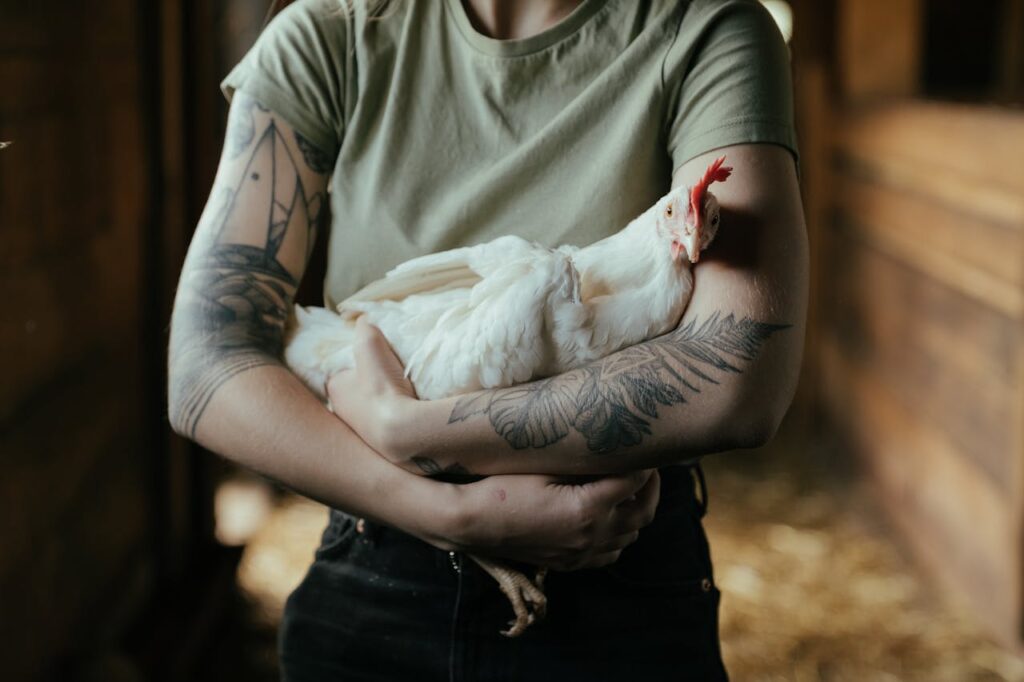 woman holding white chicken indoors