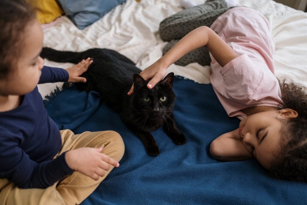 Cat with kids