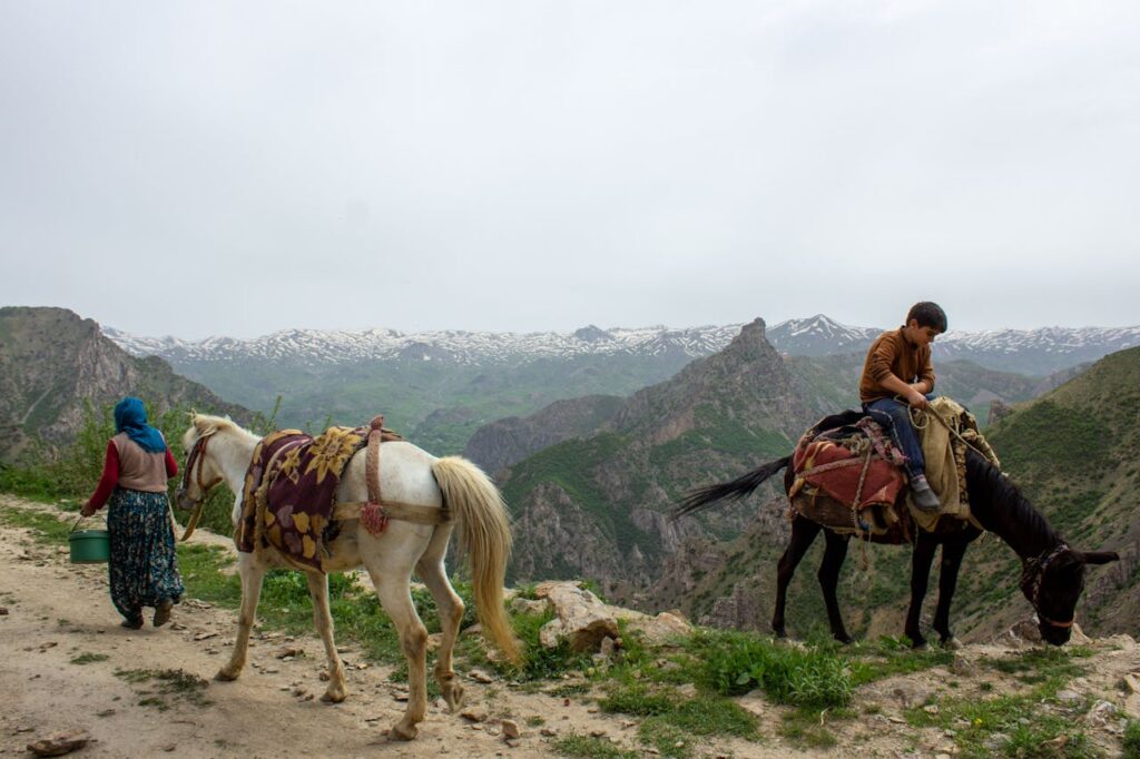 Things to Consider for a Horse on Rocky Trails