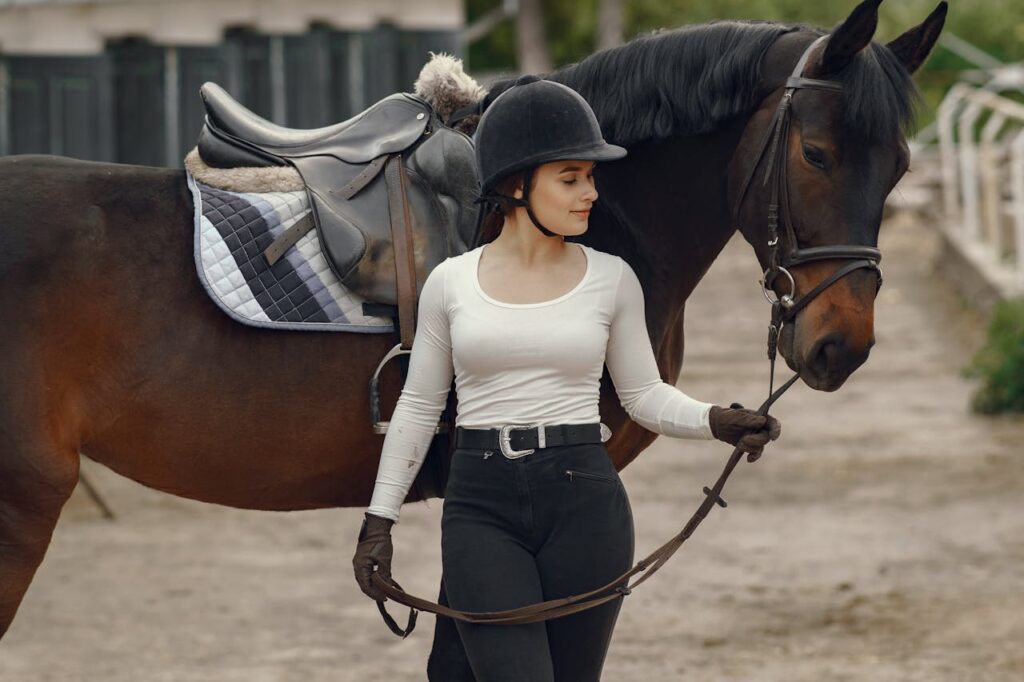 A dark brown horse with a sleek coat and a bridle