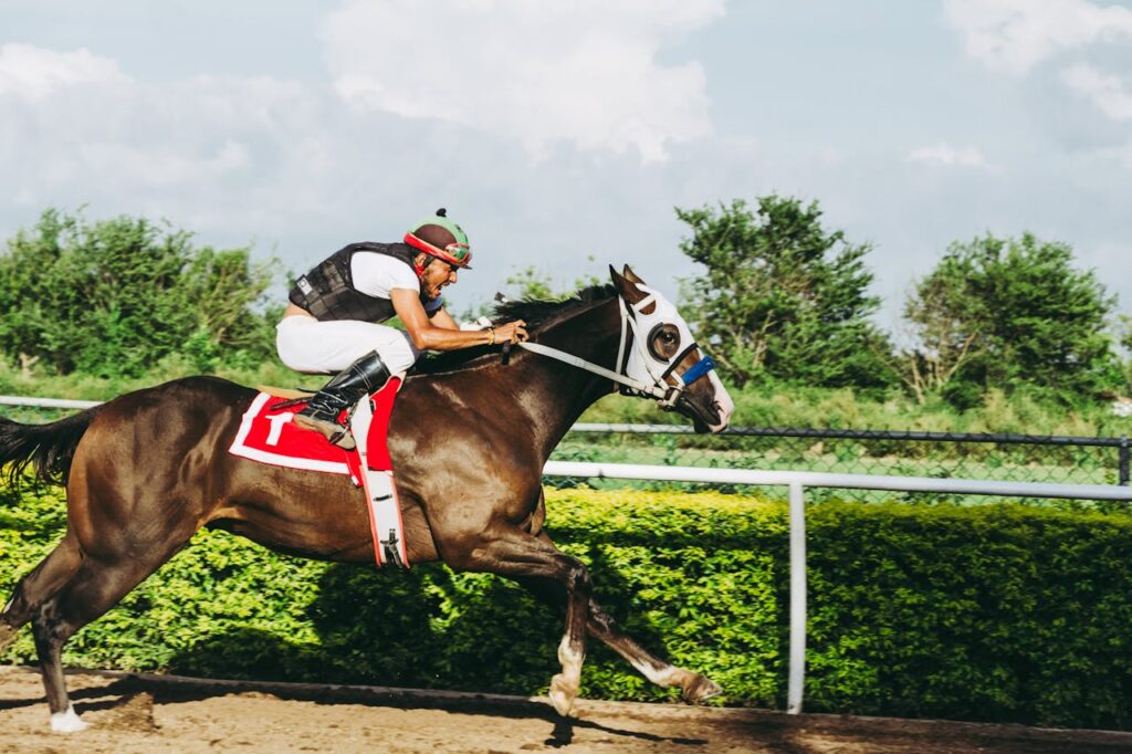 horse jockey