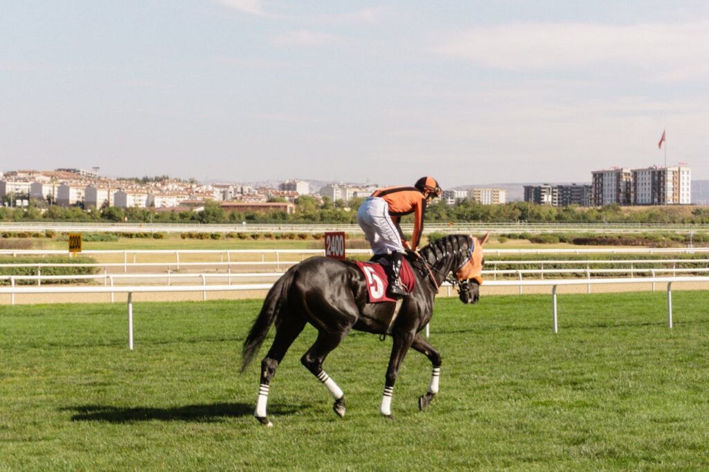Racehorse with jockey running walk on grassy racetrack