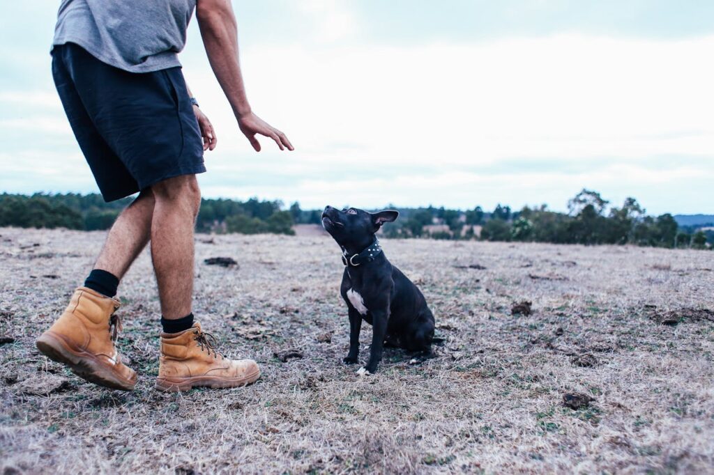 Mistakes that worsen your dog behavior