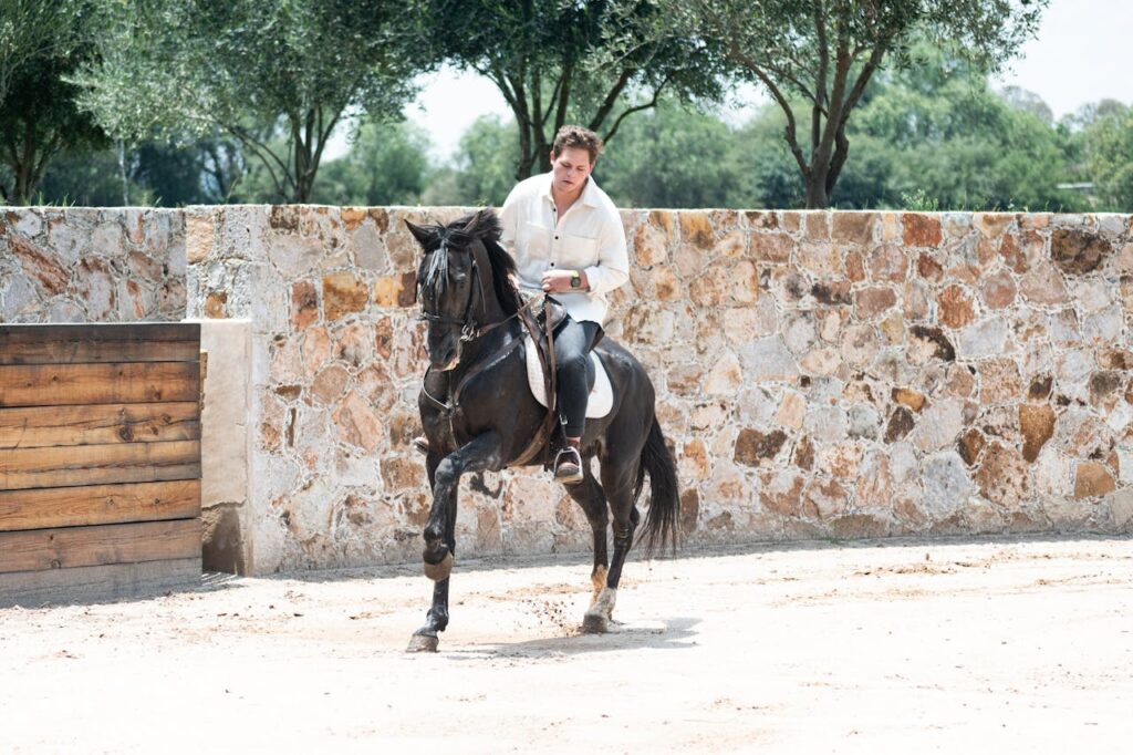 Things to Consider for a Horse on Rocky Trails