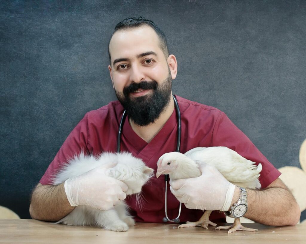 Worst Pets To Get If You Have a Cat