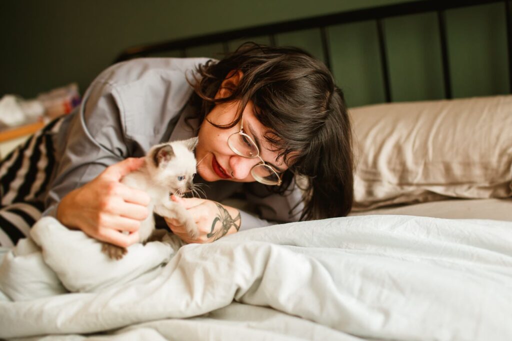 kitten with owner on bed