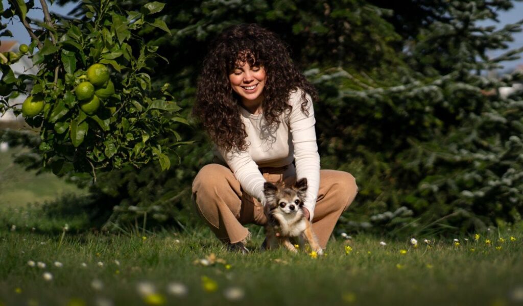 Chihuahua with a person in a grassy outdoor setting.