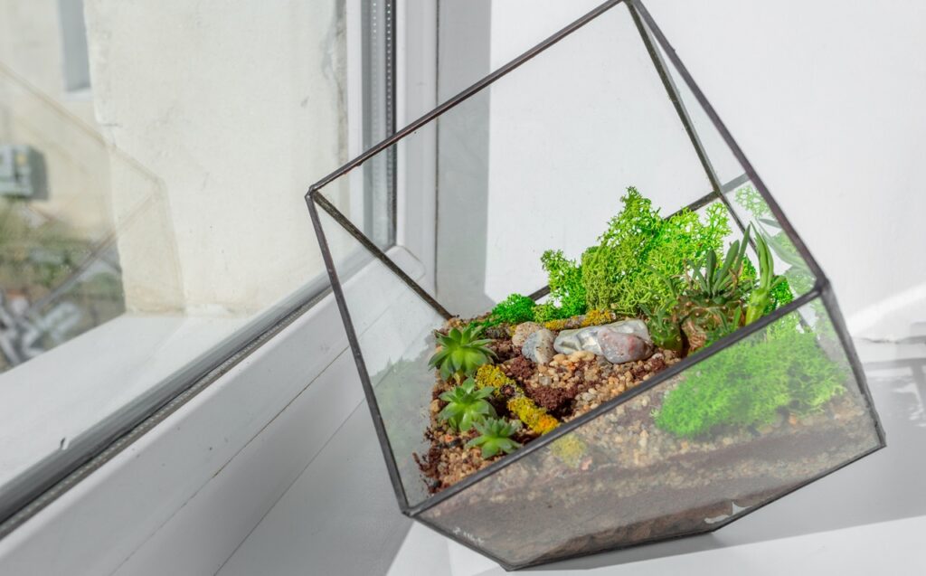 Terrarium