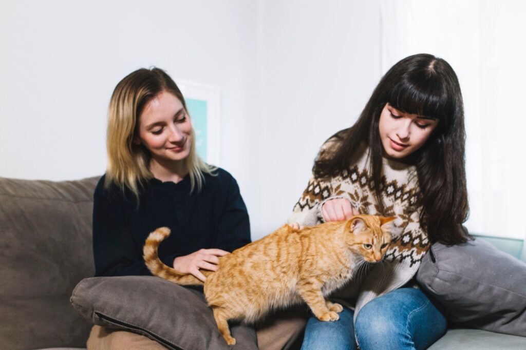 Two women sitting on a couch petting an orange tabby cat with short fur