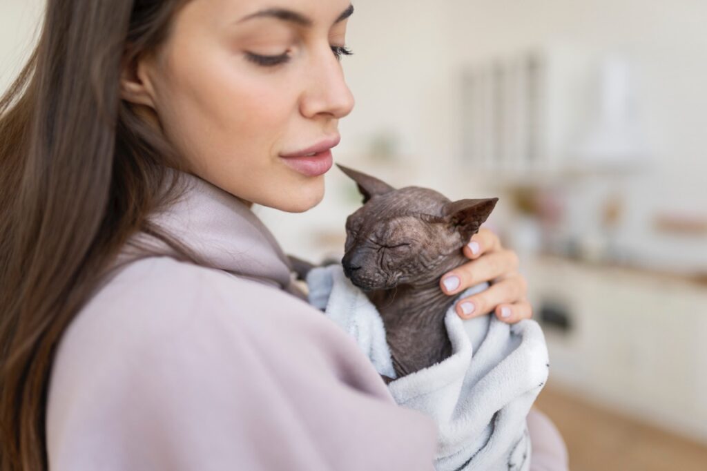 A woman holding a hairless Sphynx cat wrapped in a blanket