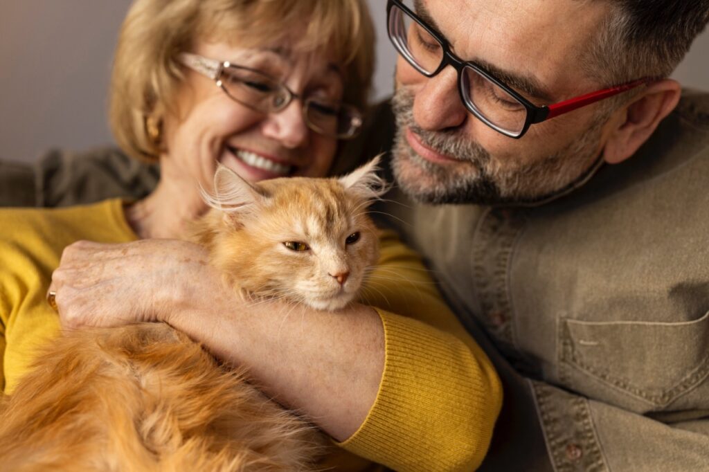 A close-up of an elderly couple lovingly holding a fluffy ginger cat