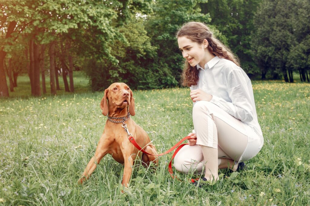 Elegant and stylish girl in a park with Vizsla dog
