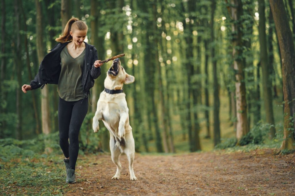 Portrait of a woman with her beautiful Labrador retriever