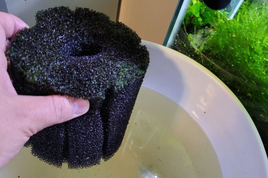 Aquarium filter cleaning