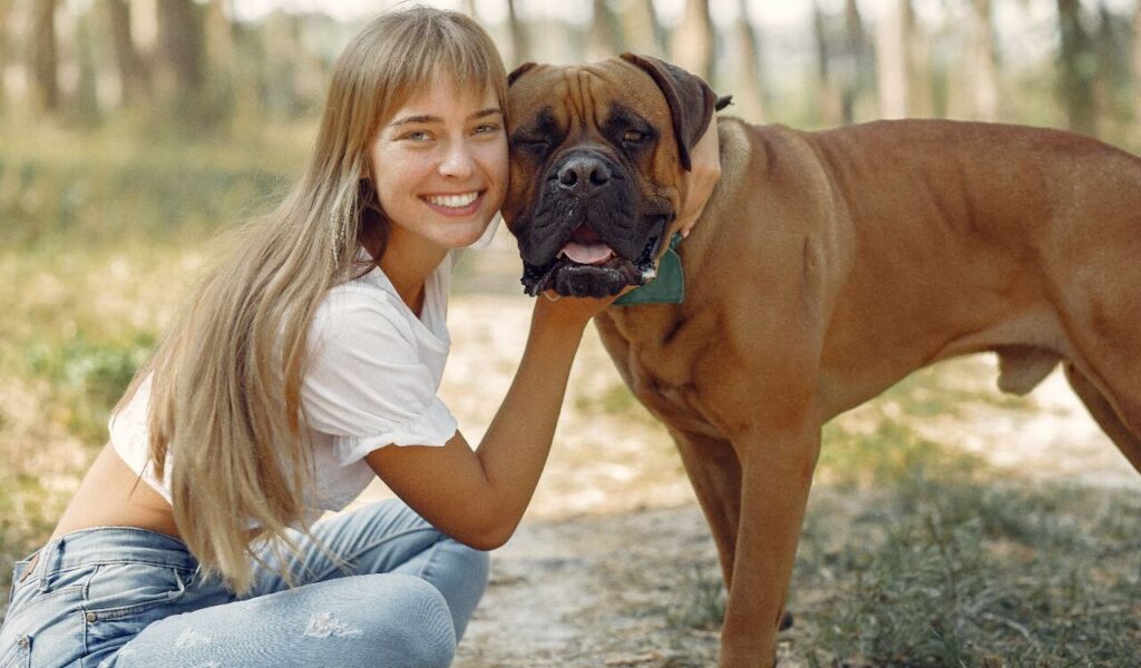 Boxer dog with a person smiling in a park.