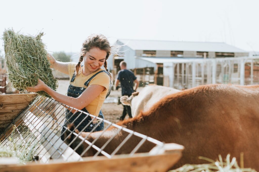 A girl feeding farm animals