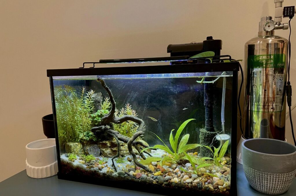 Aquarium setup
