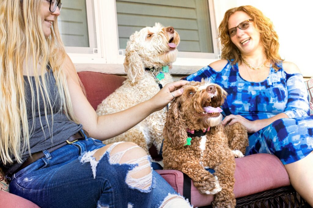 Two dogs sitting on sofa with woman