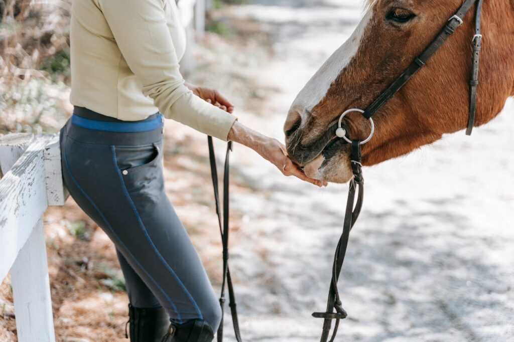 Woman feeding horse