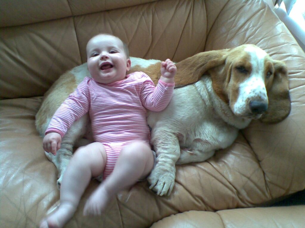 Basset_Hound_with_Baby