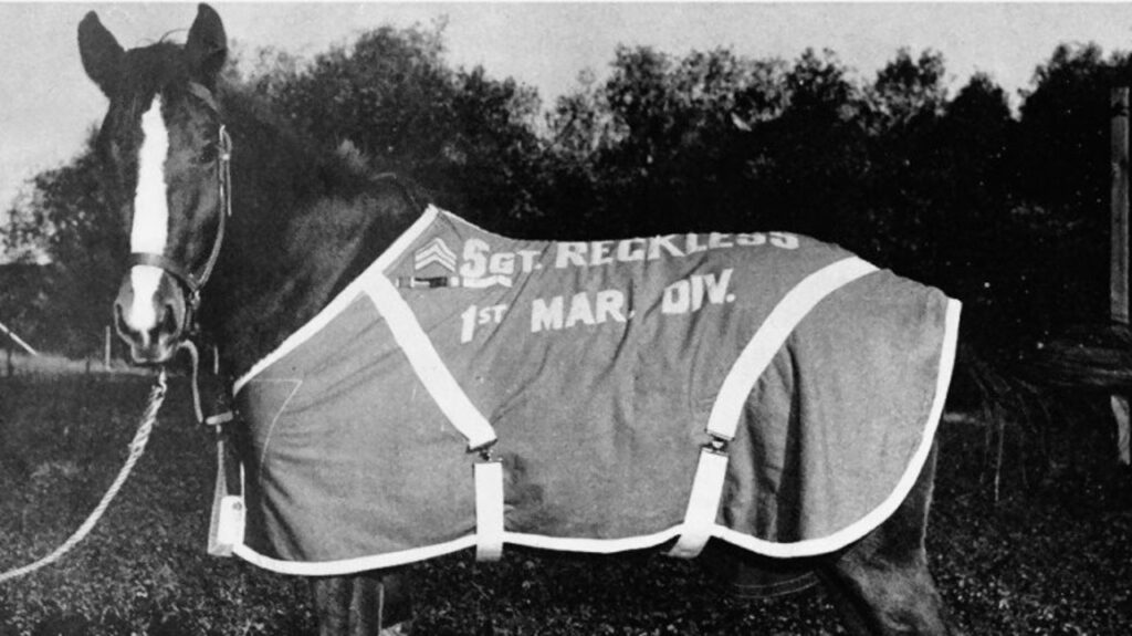 Sergeant Reckless