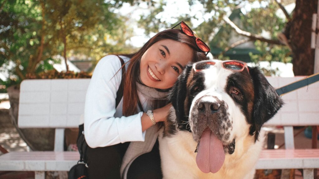 Saint Bernard With woman