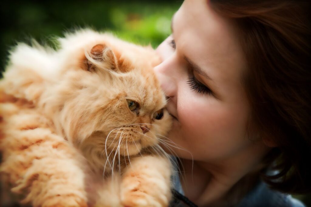Cat with a girl