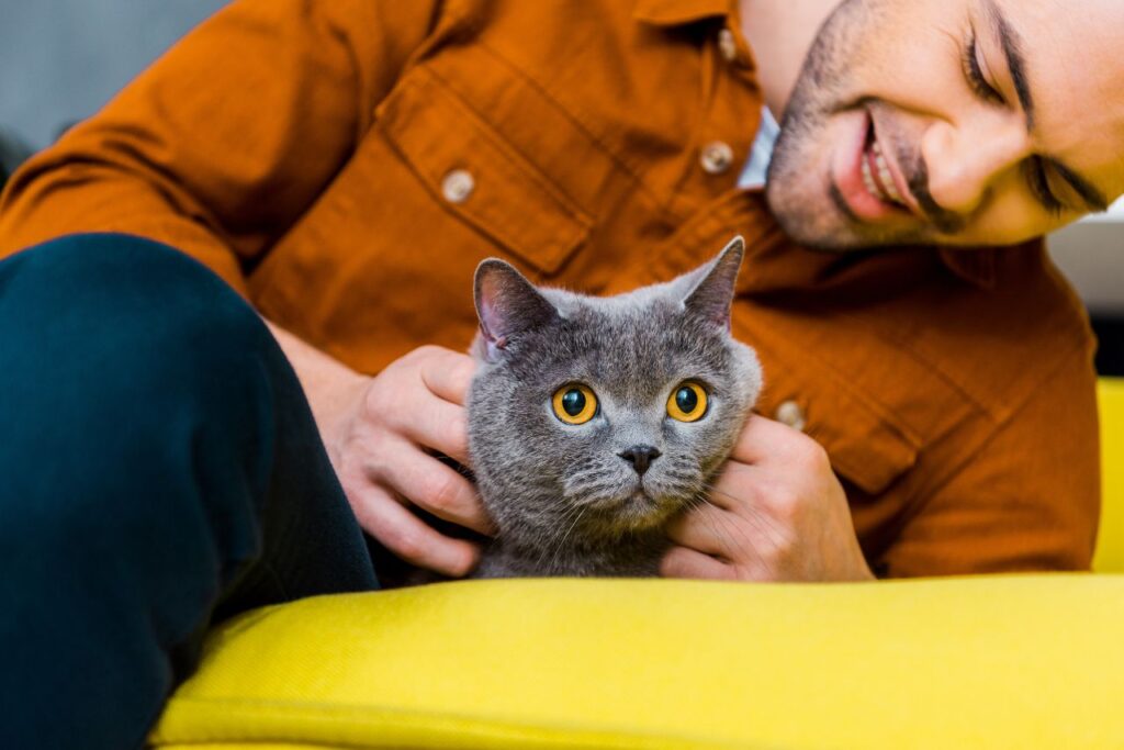 Cat with a guy