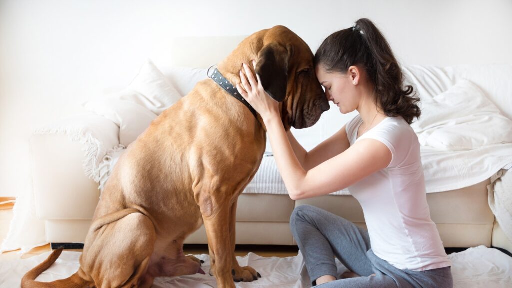 Yong Woman and her dog in home
