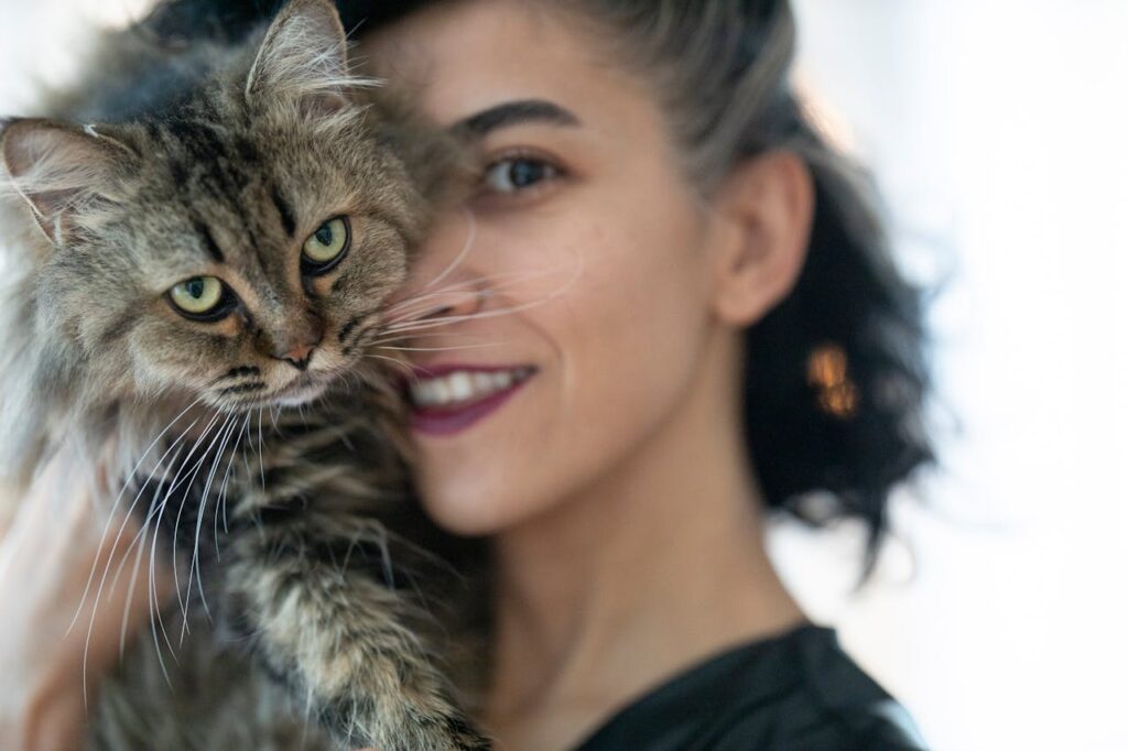 Siberian cat with woman