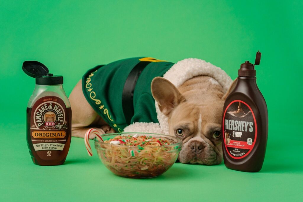 French Bulldog with syrup and festive spaghetti
