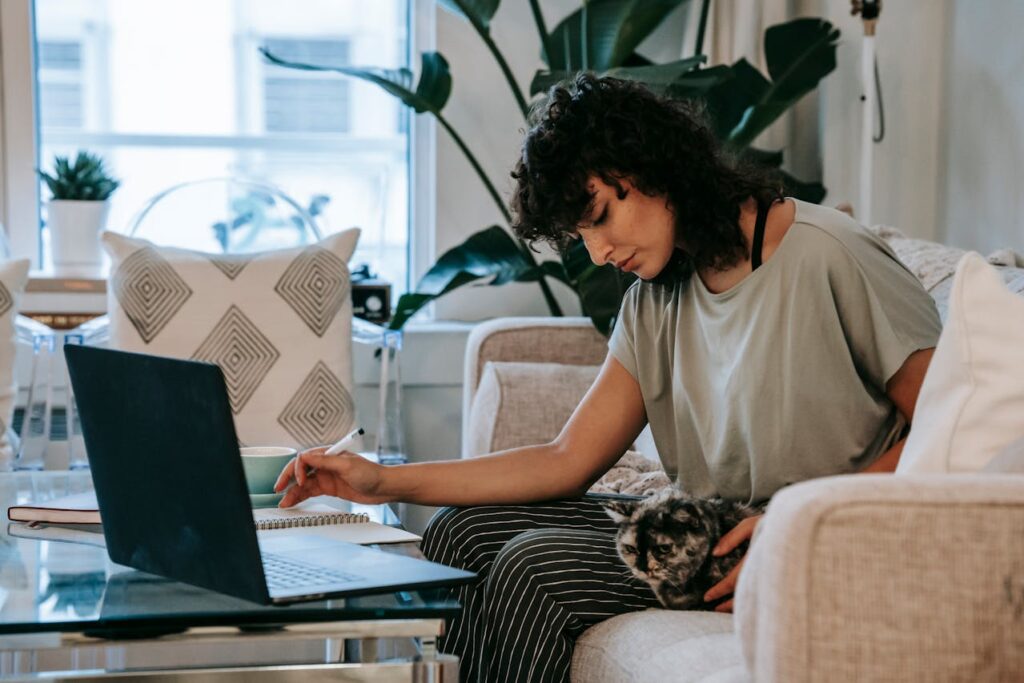 lady working online using laptop while sitting on sofa with cat