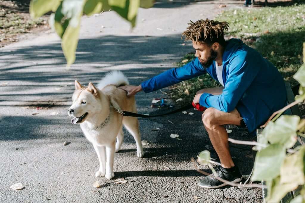 Akita with owner