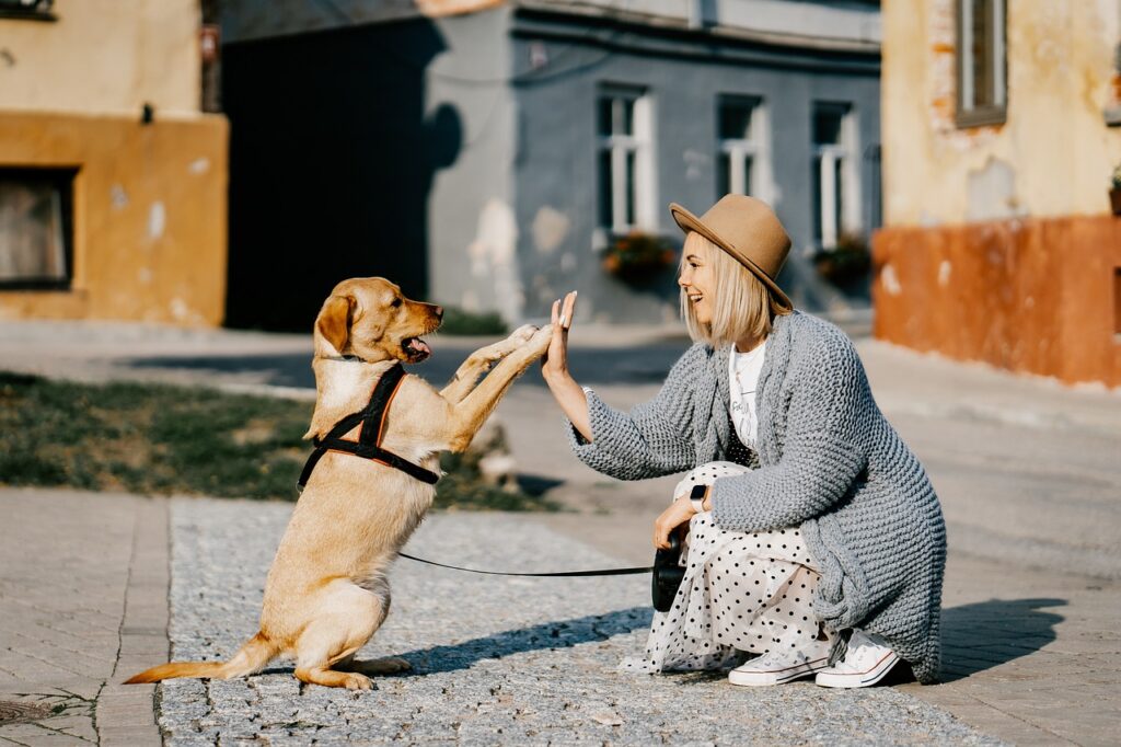Dog with its owner