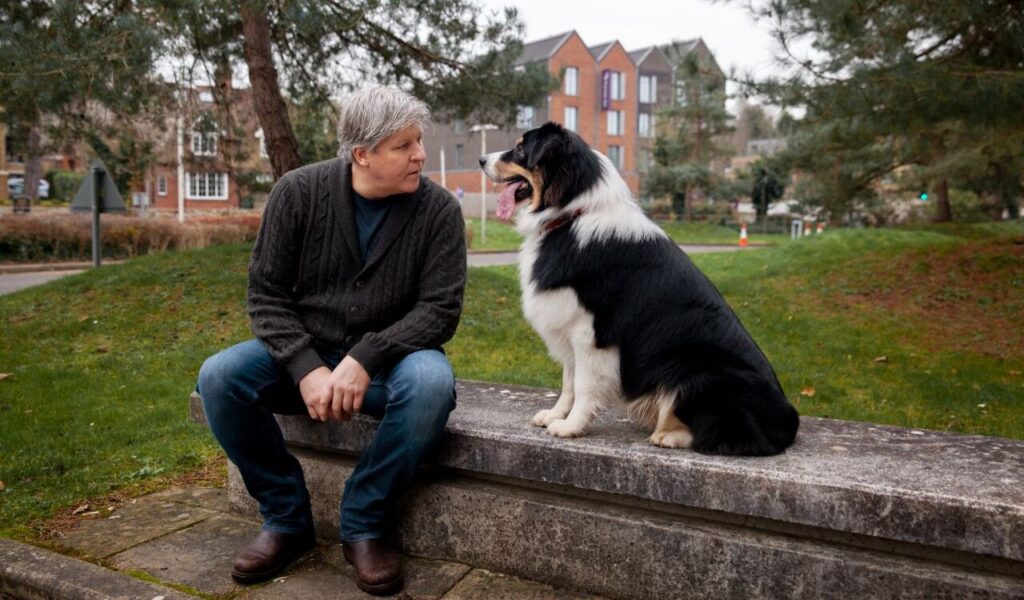 Border Collie sitting next to a person on a bench outdoors.