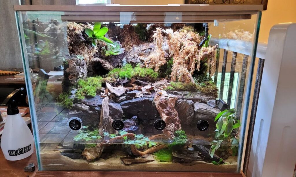 newt enclosure