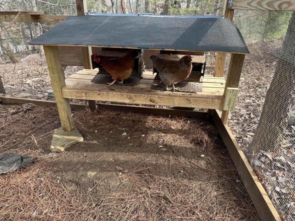 elevated mini coop
