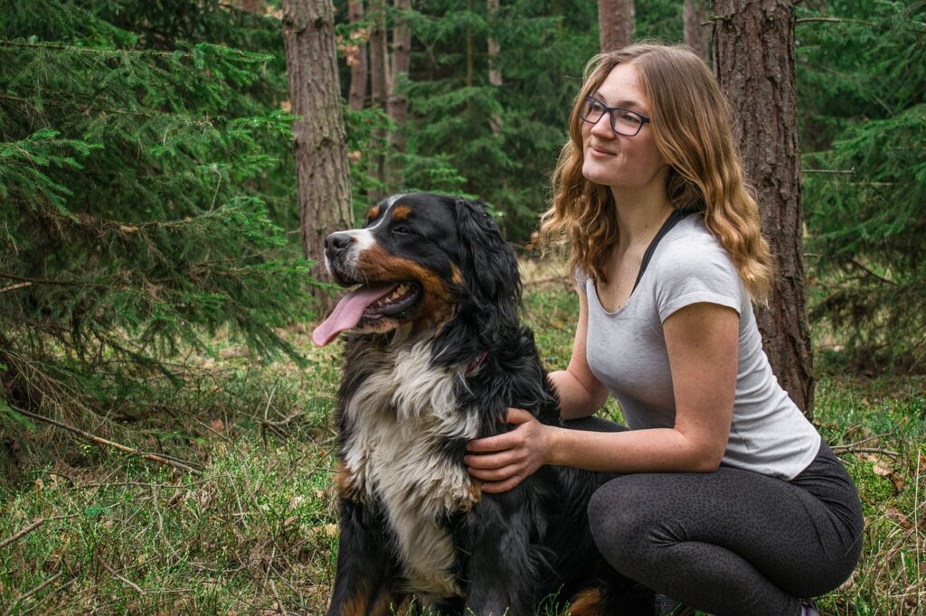 Bernese Mountain dog with person