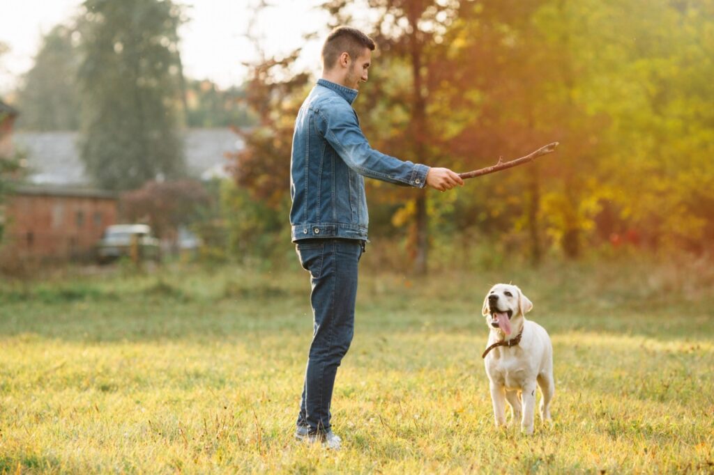 A man training his dog