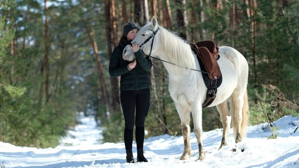 Horse and owner