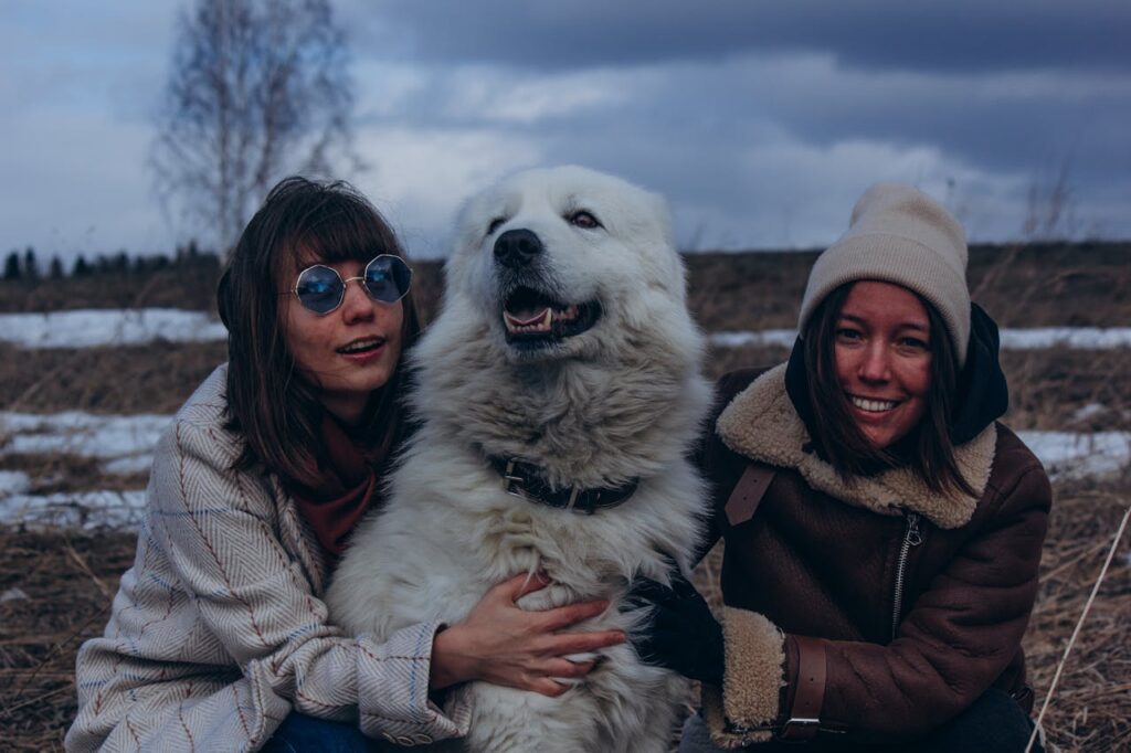 Pyrenees with people
