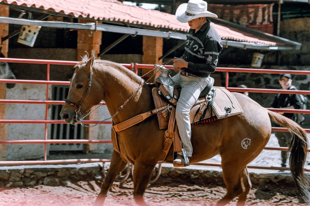 training a horse