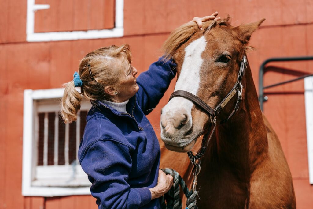 petting a horse